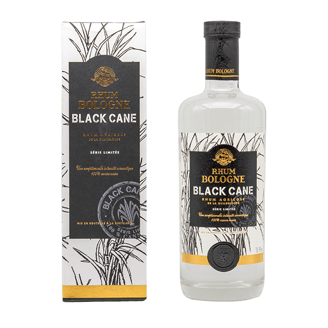 Bologne black cane