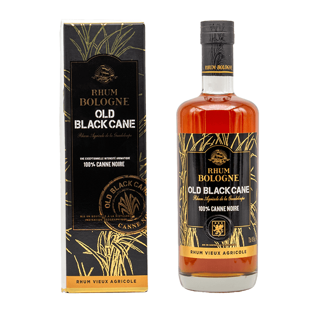 Bologne old black cane