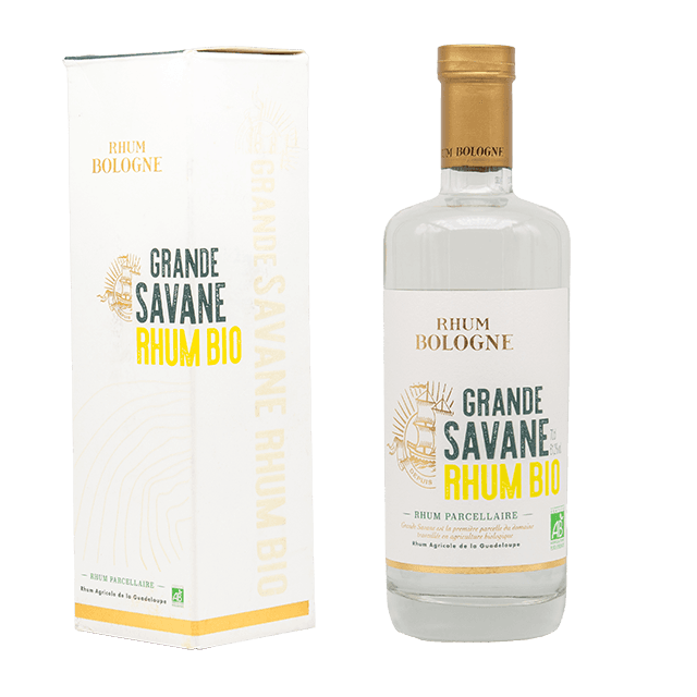Bologne Grande Savane