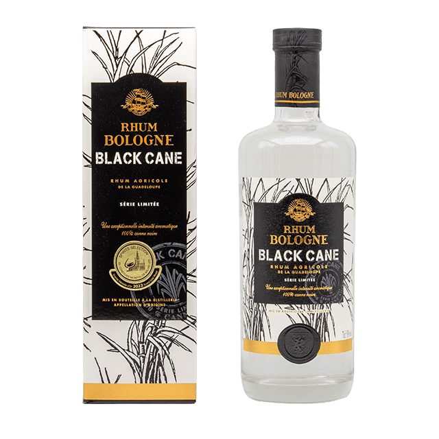 Bologne black cane 2022